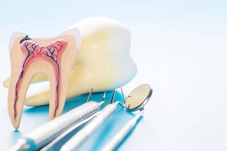 Tooth with root and dental tools